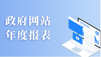 政府網(wǎng)站報(bào)表